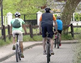 Rutas guiadas en bici