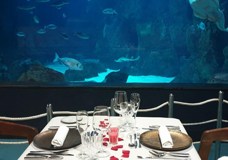Cenas bajo el mar