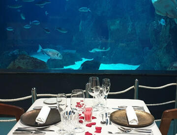 Dinners under the sea